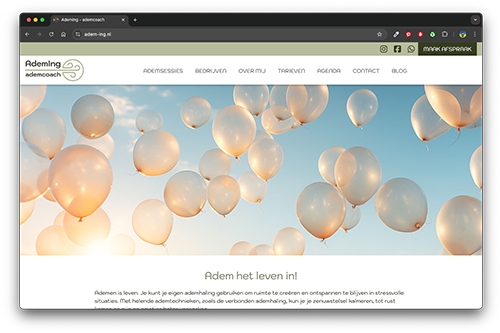 Screenshot website AdemIng