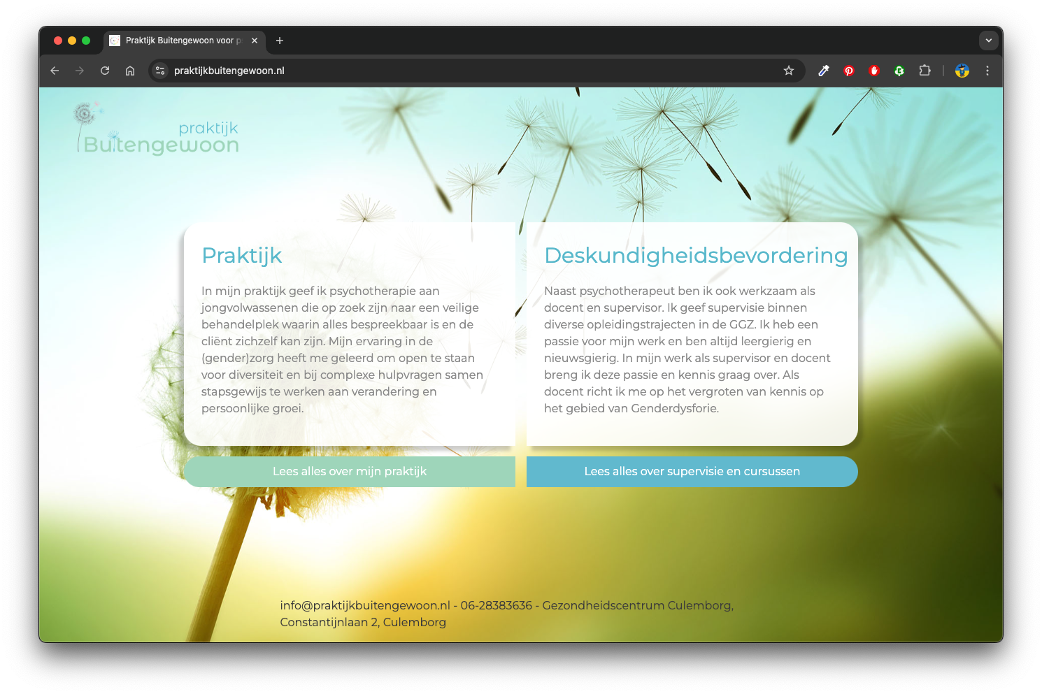 screenshot van website Praktijk Buitengewoon op desktop
